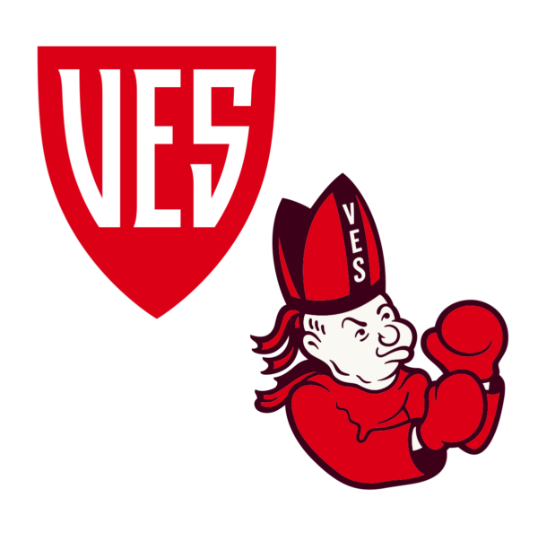 VES - Sticker 2-Pack*